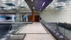 Laminar Music Fountain At Shopping Mall,India